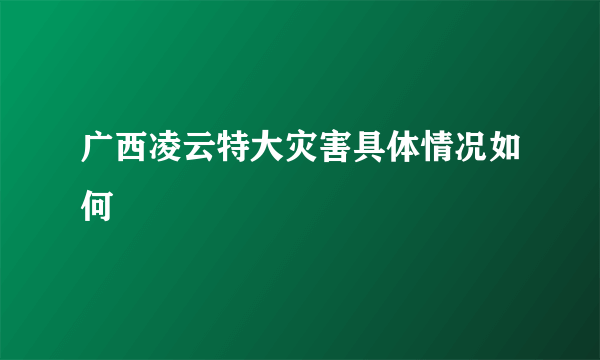 广西凌云特大灾害具体情况如何