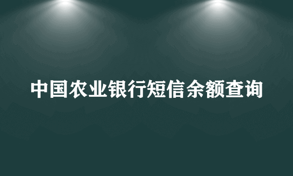 中国农业银行短信余额查询