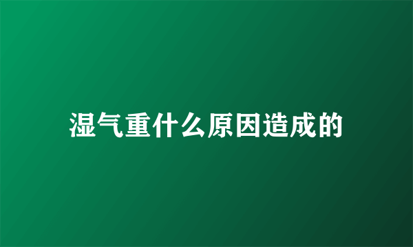 湿气重什么原因造成的