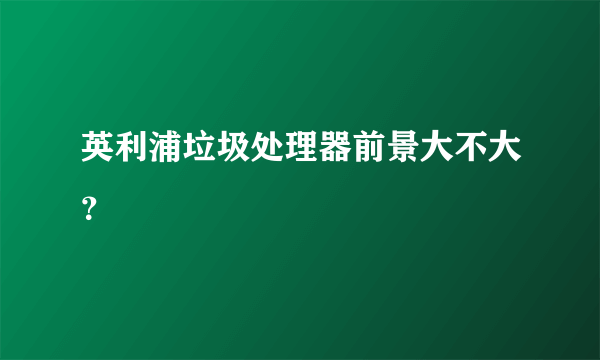 英利浦垃圾处理器前景大不大？