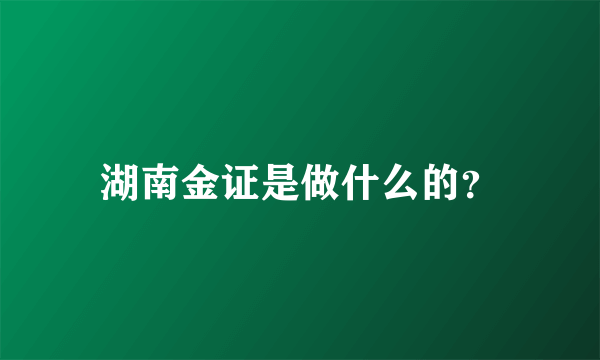 湖南金证是做什么的？