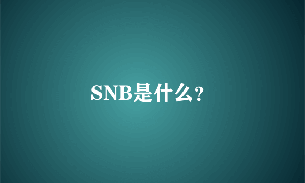 SNB是什么？