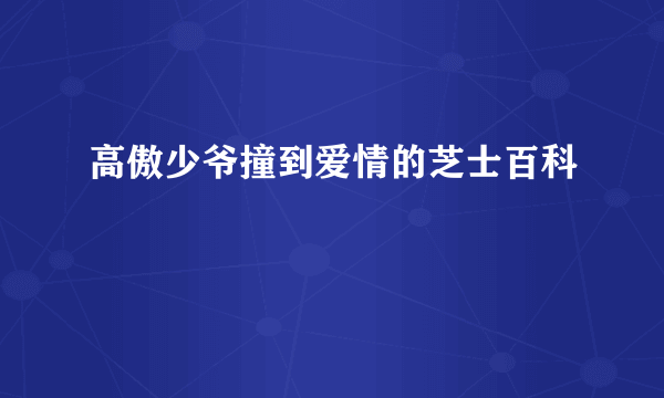 高傲少爷撞到爱情的芝士百科