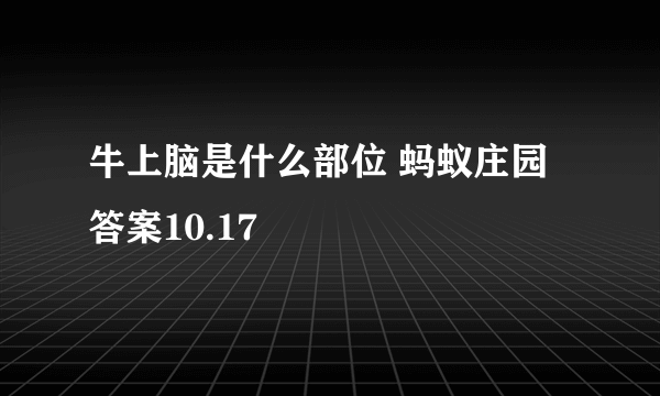 牛上脑是什么部位 蚂蚁庄园答案10.17