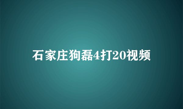 石家庄狗磊4打20视频