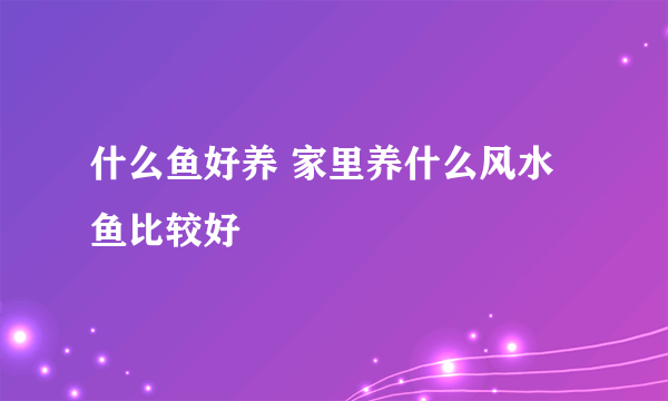 什么鱼好养 家里养什么风水鱼比较好