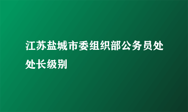 江苏盐城市委组织部公务员处处长级别