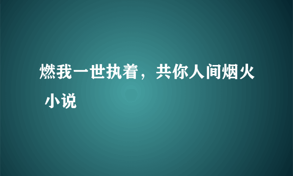 燃我一世执着，共你人间烟火 小说