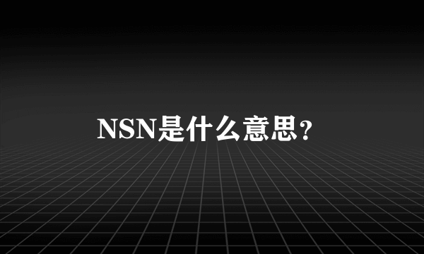 NSN是什么意思？