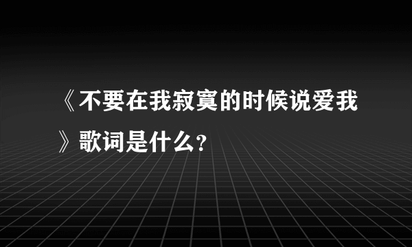 《不要在我寂寞的时候说爱我》歌词是什么？