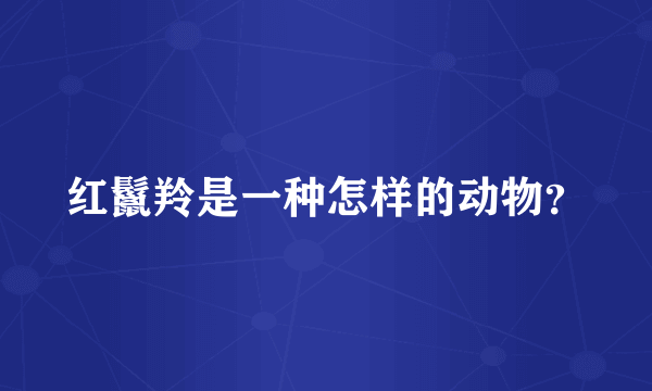 红鬣羚是一种怎样的动物？