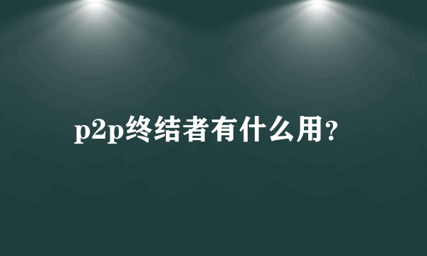 p2p终结者有什么用？