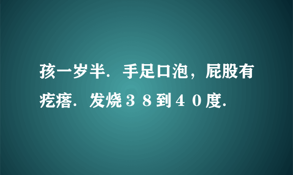 孩一岁半．手足口泡，屁股有疙瘩．发烧３８到４０度．