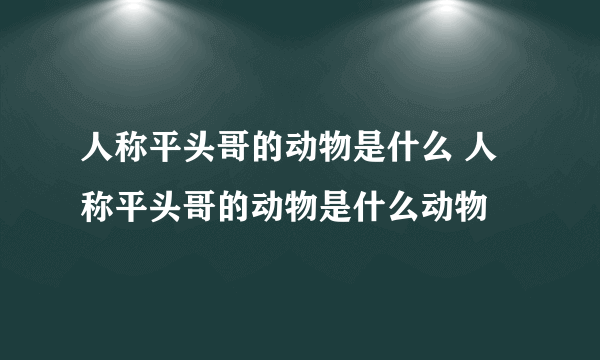 人称平头哥的动物是什么 人称平头哥的动物是什么动物