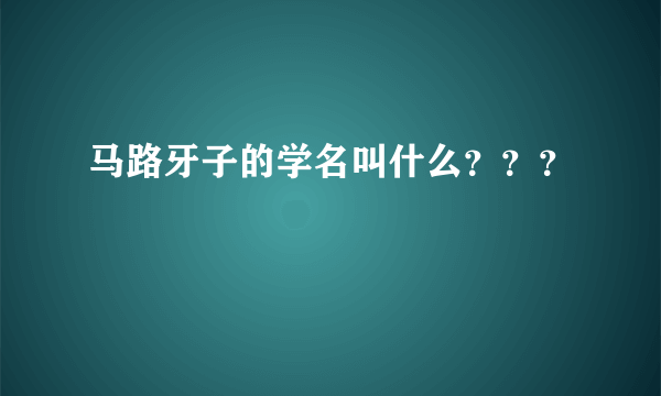 马路牙子的学名叫什么？？？