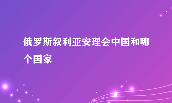 俄罗斯叙利亚安理会中国和哪个国家