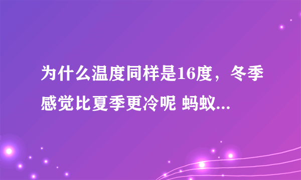 为什么温度同样是16度，冬季感觉比夏季更冷呢 蚂蚁庄园今日答案早知道11月7日