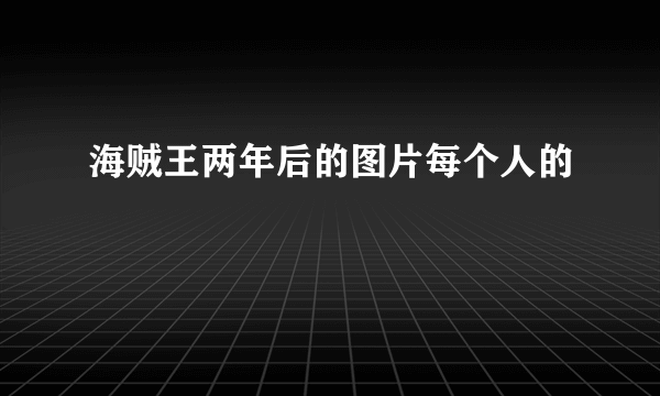 海贼王两年后的图片每个人的