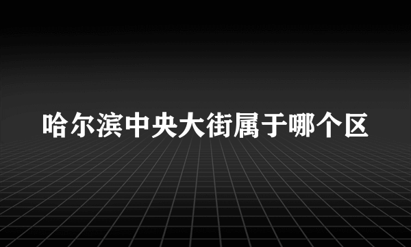 哈尔滨中央大街属于哪个区