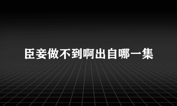 臣妾做不到啊出自哪一集