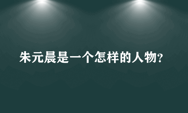 朱元晨是一个怎样的人物？