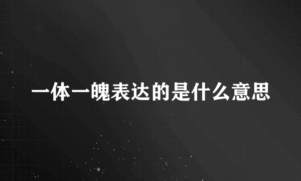 一体一魄表达的是什么意思