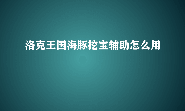 洛克王国海豚挖宝辅助怎么用