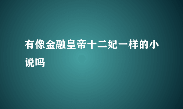 有像金融皇帝十二妃一样的小说吗