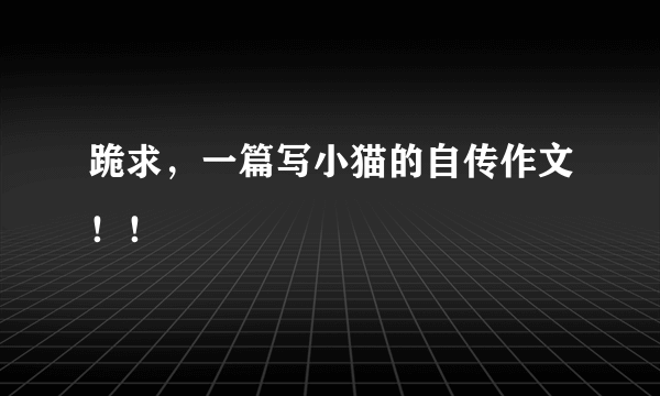 跪求，一篇写小猫的自传作文！！