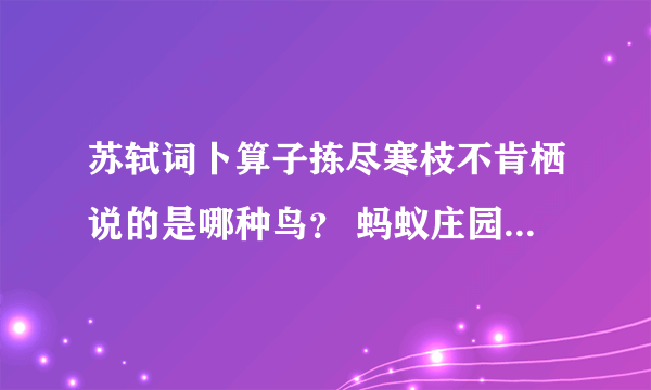 苏轼词卜算子拣尽寒枝不肯栖说的是哪种鸟？ 蚂蚁庄园今日答案11月5日