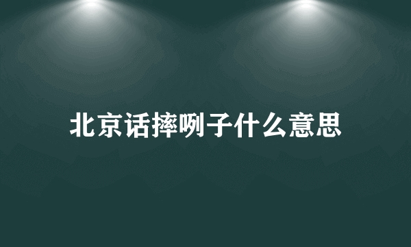 北京话摔咧子什么意思