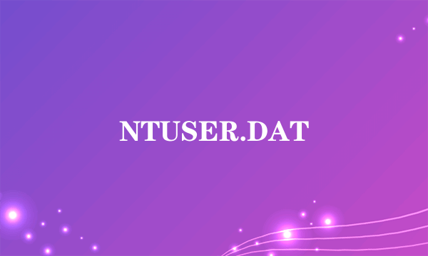 NTUSER.DAT