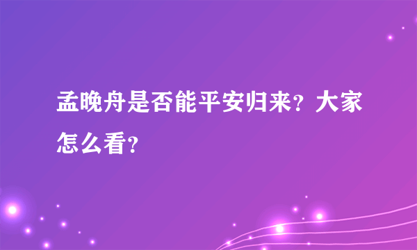 孟晚舟是否能平安归来？大家怎么看？