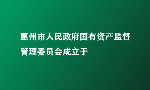 惠州市人民政府国有资产监督管理委员会成立于