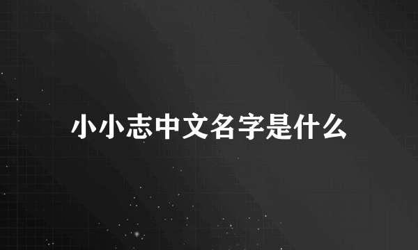 小小志中文名字是什么