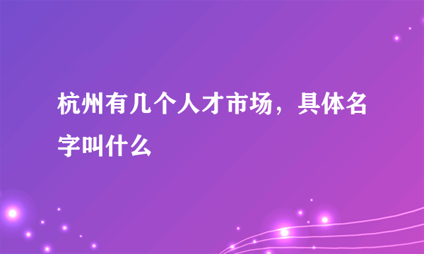 杭州有几个人才市场，具体名字叫什么