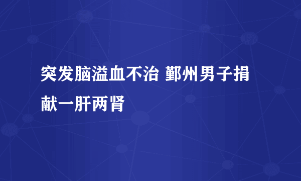 突发脑溢血不治 鄞州男子捐献一肝两肾