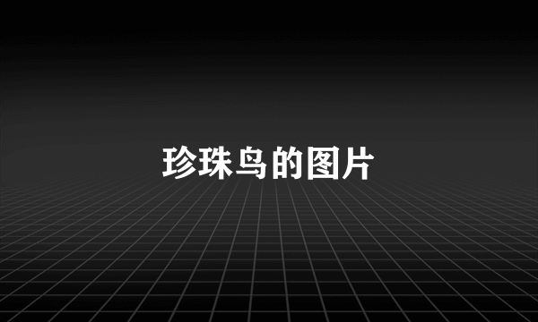 珍珠鸟的图片