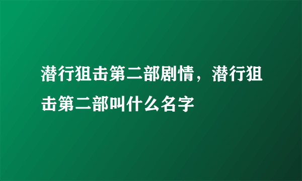 潜行狙击第二部剧情，潜行狙击第二部叫什么名字