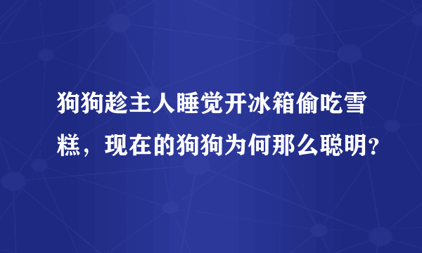 狗狗趁主人睡觉开冰箱偷吃雪糕，现在的狗狗为何那么聪明？