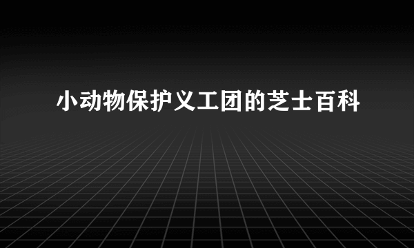 小动物保护义工团的芝士百科