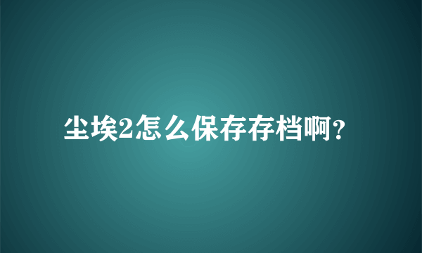 尘埃2怎么保存存档啊？