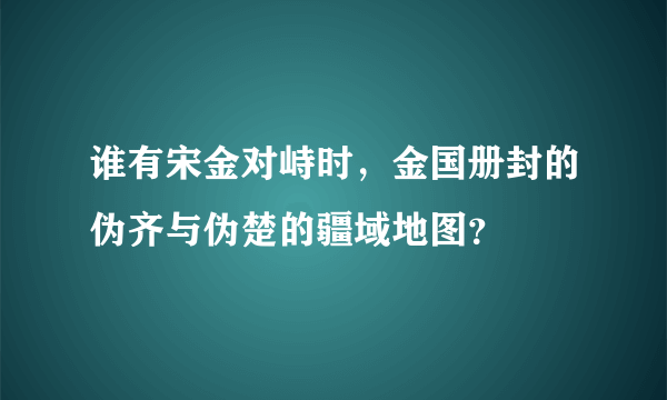 谁有宋金对峙时，金国册封的伪齐与伪楚的疆域地图？