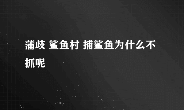 蒲歧 鲨鱼村 捕鲨鱼为什么不抓呢