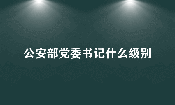 公安部党委书记什么级别