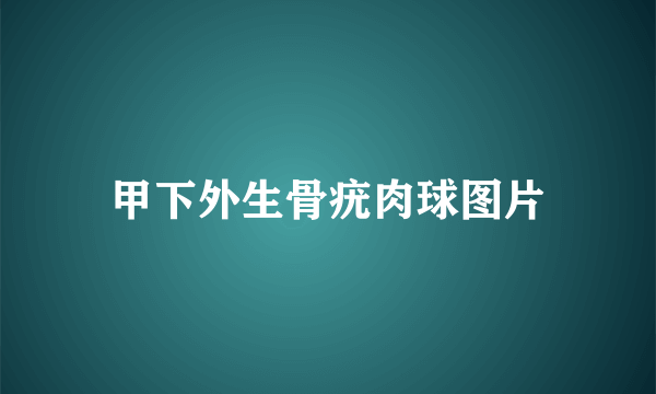 甲下外生骨疣肉球图片