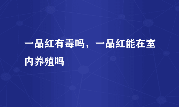 一品红有毒吗，一品红能在室内养殖吗