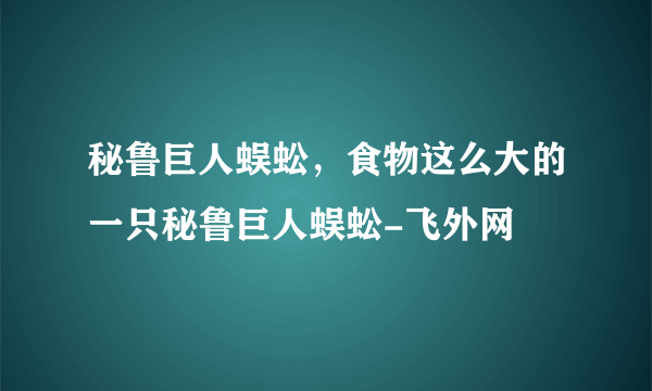 秘鲁巨人蜈蚣，食物这么大的一只秘鲁巨人蜈蚣-飞外网