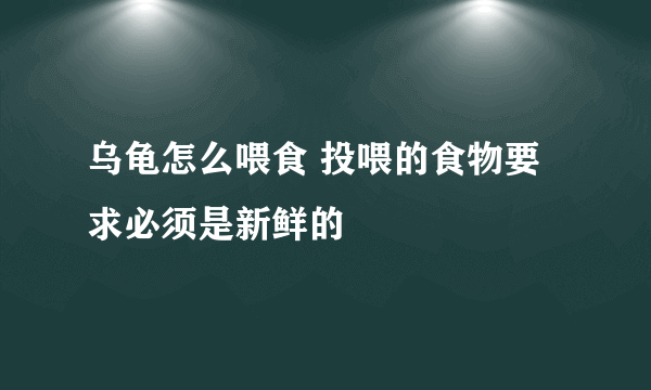 乌龟怎么喂食 投喂的食物要求必须是新鲜的