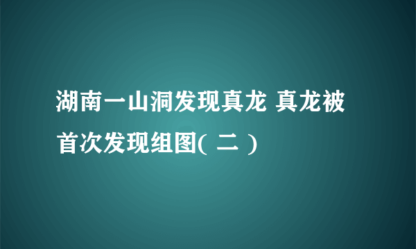 湖南一山洞发现真龙 真龙被首次发现组图( 二 )